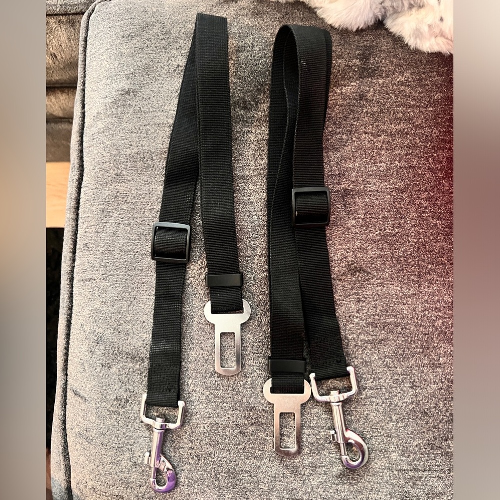 Dog Seatbelts for Small or Large Breeds